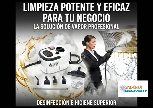 LIMPIADOR A VAPOR DE ALTA TEMPERATURA