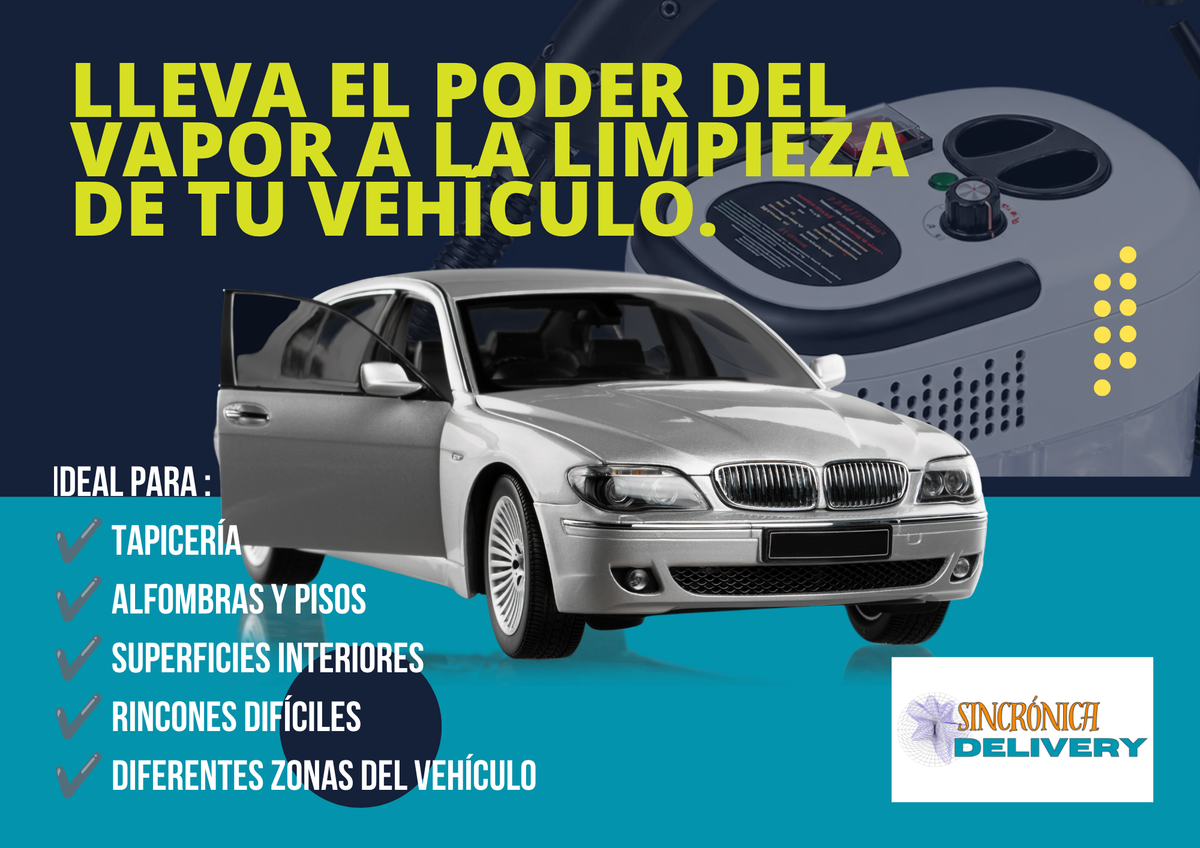 LIMPIADOR A VAPOR DE ALTA TEMPERATURA
